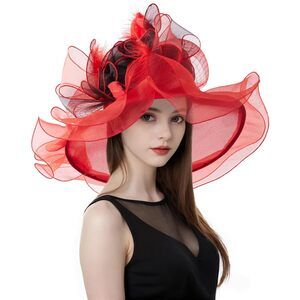6123 Women's Organza Kentucky Derby Church Fascinator Fancy Floral Bridal